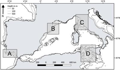 Vulnerability of Demersal Fish Assemblages to Trawling Activities: A Traits-Based Index